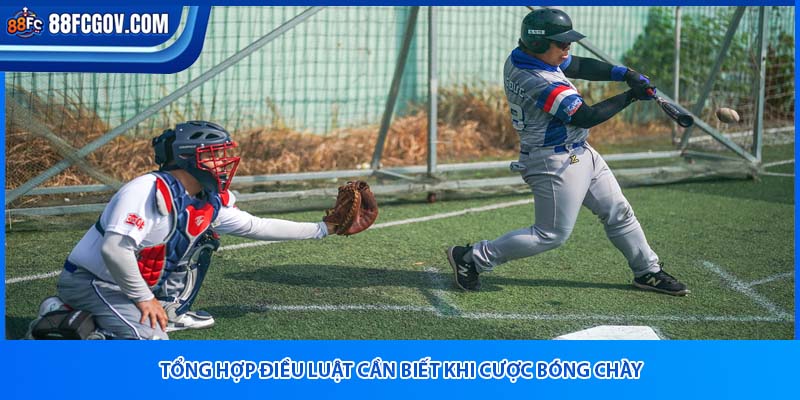 Tổng hợp điều luật cần biết khi cược bóng chày