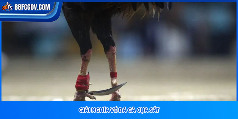 Giải nghĩa về đá gà cựa sắt