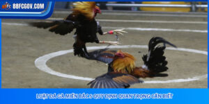 Luật Đá Gà Miền Bắc 88FC – Chiến Lược Cược Đỉnh Cao!