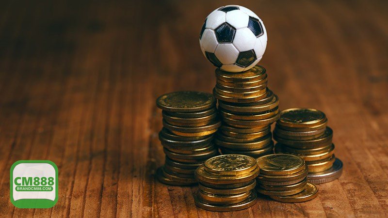 Nhà Cái Uy Tín CM888 - Nhà Cái Uy Tín CM888 được kiểm chứng qua những cơ sở nào? Nhà Cái Uy Tín CM888 - Nhà Cái Uy Tín CM888 được kiểm chứng qua những cơ sở nào?