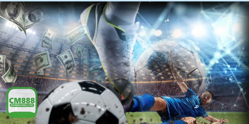 Thể thao SBO - Hệ kèo và thị trường đặt cược phong phú Thể thao SBO - Hệ kèo và thị trường đặt cược phong phú